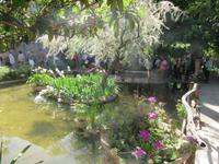 San Marroig (10)