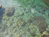 Sauberes Wasser, interessante Steine am Grund auf Mallorca
