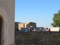 Schloss Belvere