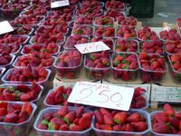 Sineu Obstmarkt