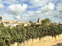 Sineu
