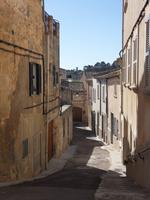 Sineu