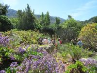 Soller (11)