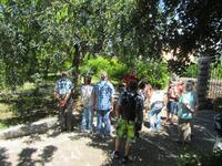 Soller (18)