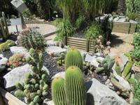 Soller (23)