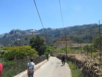 Soller (30)