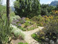 Soller (8)