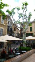 Soller