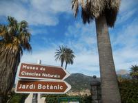 Soller