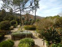 Soller