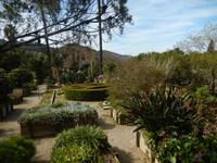 Soller