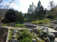 Soller