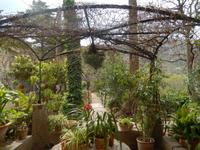 Son Marroig