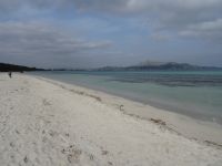 Strand  in der Bucht von Alcudia