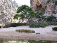 Torrent de Pareis