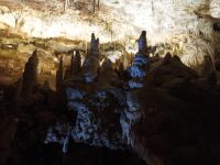 Tropfsteinhöhle - Hams - Mallorca