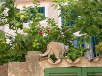 Valldemossa (4)
