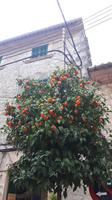 Valldemossa