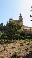 Valldemossa