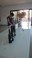 Weinkeller Miquel Oliver, bei Petra, Mallorca