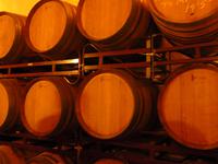 Weinprobe