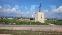Windmuehlen in Mallorca