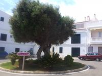 Zentrum Fornells