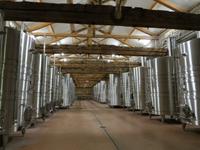 beim Winzer im Corbiere