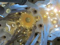 Barcelona, Sagrada familia