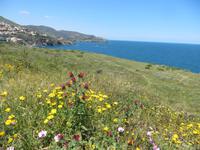 Mittelmeerküste Vermeille