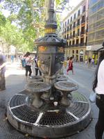 BArcelona. Rambla. Font des Canaletes. wer daraus trinkt, kommt wieder..