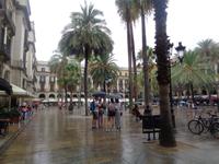 Placa Reial Barcelona
