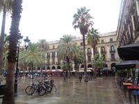 Placa Reial Barcelona