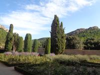 Abbaye de Fontfroide