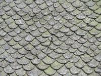 Ausblicke vom Gelben Zug