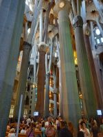 Im Inneren der Sagrada Familia