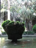 Barcelona. Kreuzgang der Kathedrale