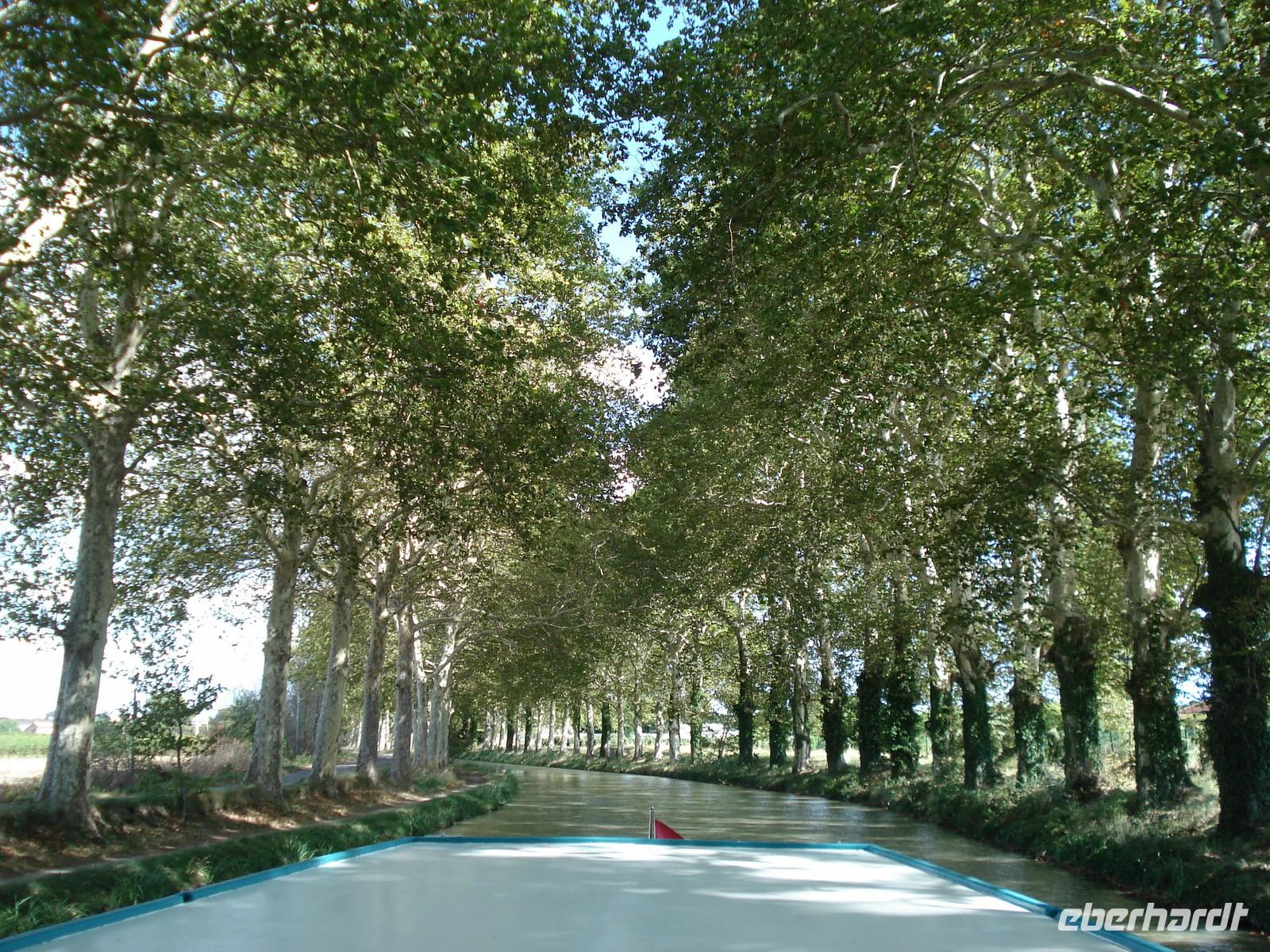 Fahrt auf dem platanengesäumten Canal du Midi