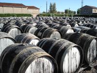 Fässermeer (alle voll!!!) der Firma Noilly Prat