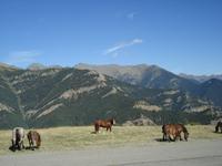 Andorras Natur