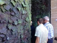 046Sagrada Familia_Detail der Tür