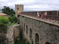 184Auf der Stadtmauer von Carcassonne