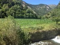 430Auf dem Weg nach Andorra la Vella