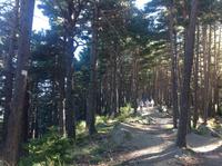 524Spaziergang am Llac d’Engolasters