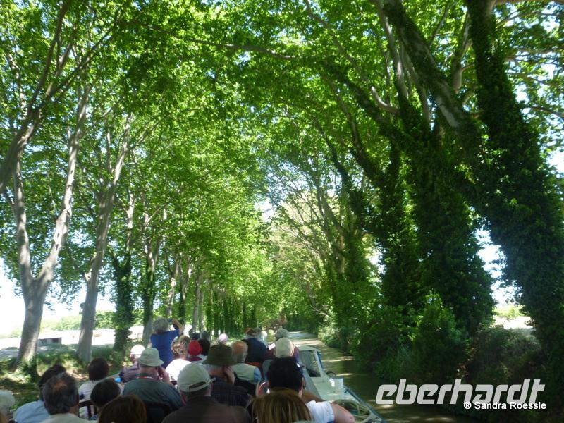 im Schiff auf dem Canal du midi 