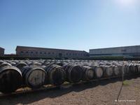 Noilly Prat Wermut Verkostung 