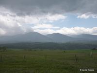 Ansicht aus dem gelben Zug 