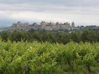 Carcassonne. Cite (Archiv)