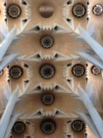 Gewölbe in der Sagrada Familia