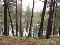 Lac Engolasters